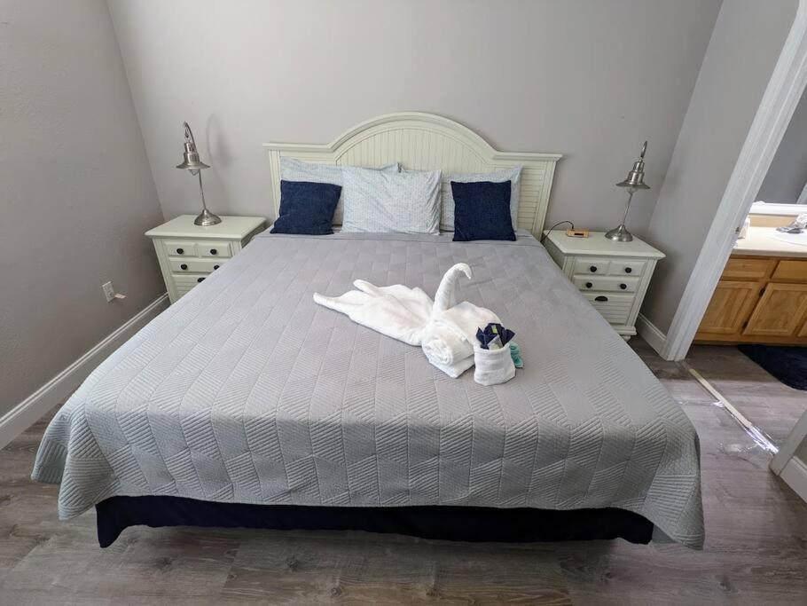 Nice & Cozy - Vacation Home Kissimmee Buitenkant foto