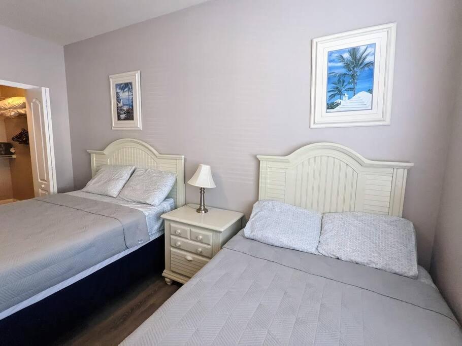Nice & Cozy - Vacation Home Kissimmee Buitenkant foto