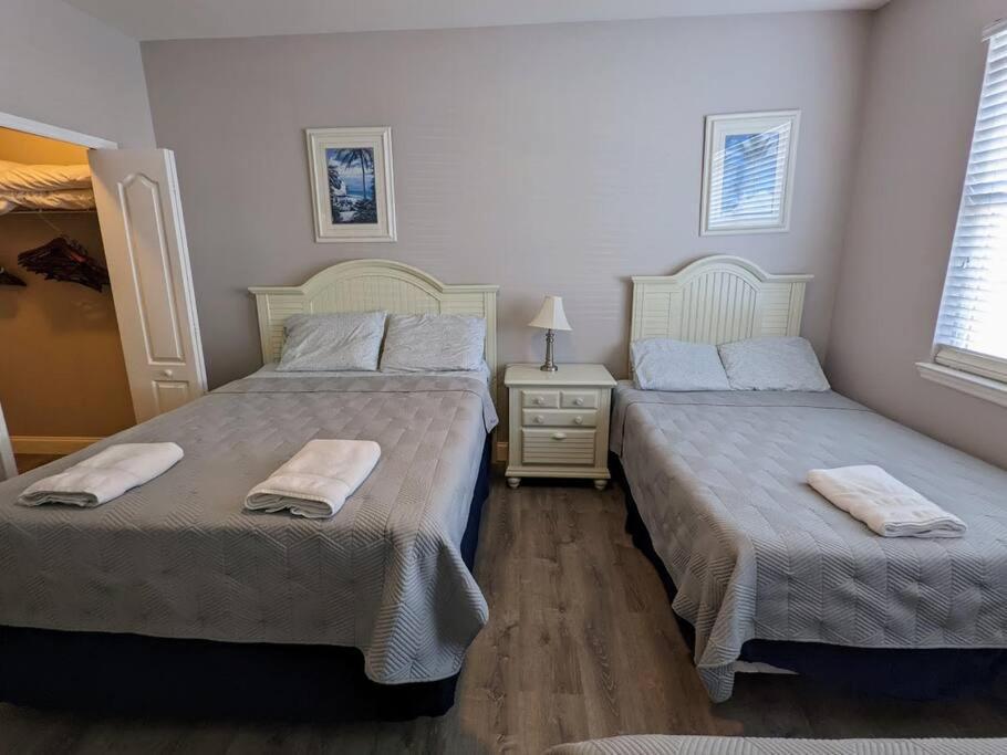 Nice & Cozy - Vacation Home Kissimmee Buitenkant foto