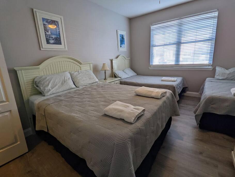 Nice & Cozy - Vacation Home Kissimmee Buitenkant foto